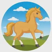 属马人三合和六个合生肖贵人：马的三合和6合是什么