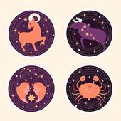 84年属鼠是二婚命吗男（解析婚姻运势如何）