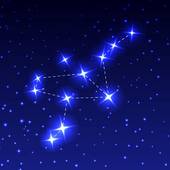 算命书籍大全十二生肖