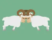 属羊人今日运势方位解析：每日运程吉凶指南