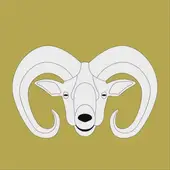 属羊今日财运解析：2025年2月9日财富指南