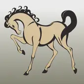 属马今日财运方位指南：选对颜色助你财路亨通