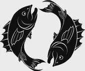 双鱼座今日运势全解析：收好这份幸运生存指南