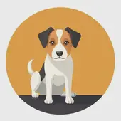 属狗和什么属相最配相克相冲呢