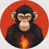 2025属猴69岁血光之灾