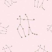 狮子女和什么座最合适（星座配对指南）