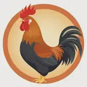 属鸡配婚姻和属什么的配合适，属鸡的婚配最佳属相