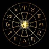 83年属猪41岁运势（猪年大吉财运亨通事业有成）