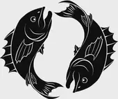 2025今日星座运程！运势解析&amp;amp;提升指南