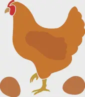 属鸡今日财运走势解读：必看打麻将方位禁忌