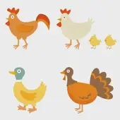 生肖鸡今日运势全解：2025年2月9日吉凶速查