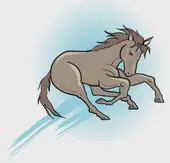 属马人今日财运方位解析：这3个时间点别错过