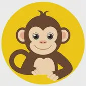 2004年猴的五行属性是什么，2004年是水猴还是木猴