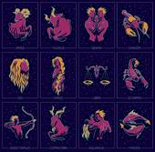 1971年猪运势分析（猪年运势如何）