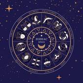 属兔人适合做什么生意，长得好看有野心的星座女