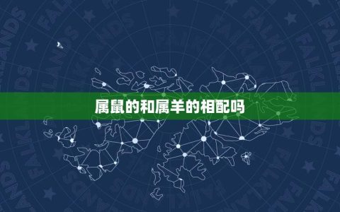 属鼠的和属羊的相配吗(十二生肖配对大介绍)