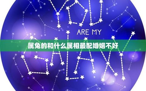 属兔的和什么属相最配婚姻不好(十二生肖配对指南)
