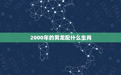 2000年的男龙配什么生肖(配对介绍)