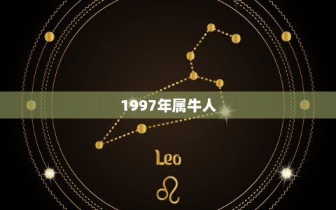 1997年属牛人(何时结婚时机)