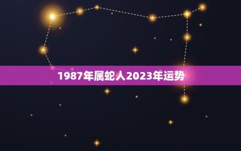 1987年属蛇人2023年运势(事业顺遂财运亨通)