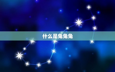 免费算爱情姻缘兔兔兔(介绍你的爱情密码)