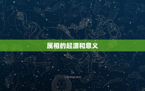 属相是按立春还是除夕(哪个更准确)