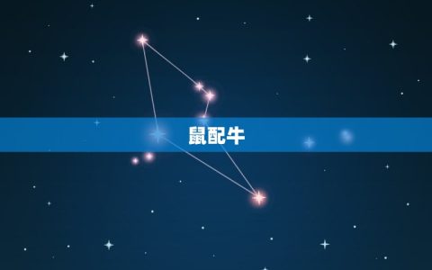 2023年生肖配对表(十二生肖大介绍谁与谁最配)