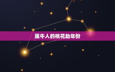 属牛的桃花劫是哪一年(解密属牛人的感情瓶颈)