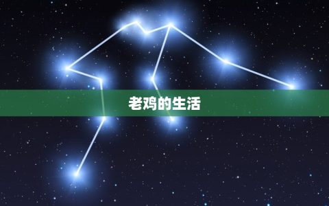 78岁的鸡今年怎么样(老鸡依旧鸣啼农家故事温暖人心)