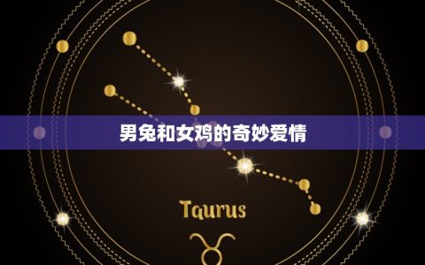 男兔和女鸡其实非常配(奇妙的跨物种爱情)