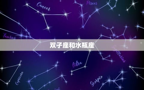 双子座跟什么星座最般配(星座配对大介绍)