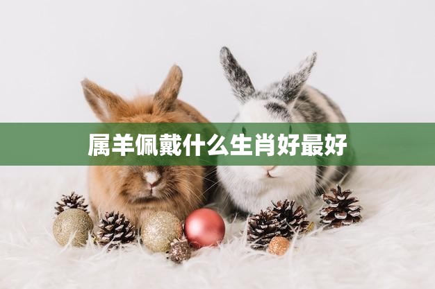 属羊佩戴什么生肖好最好(如何选择最佳生肖饰品)