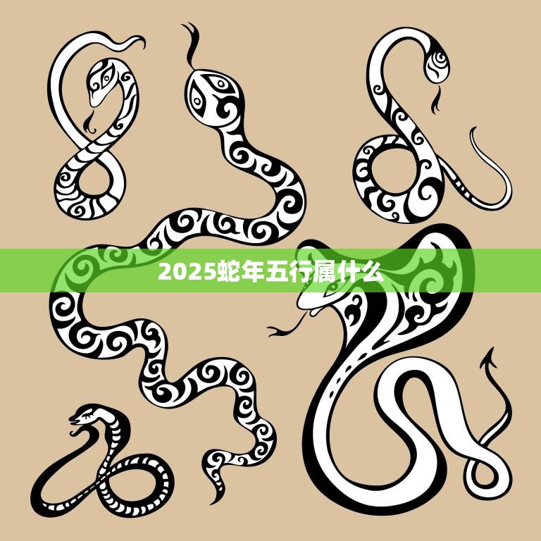 2025蛇年五行属什么(揭秘蛇年五行特点与运势)