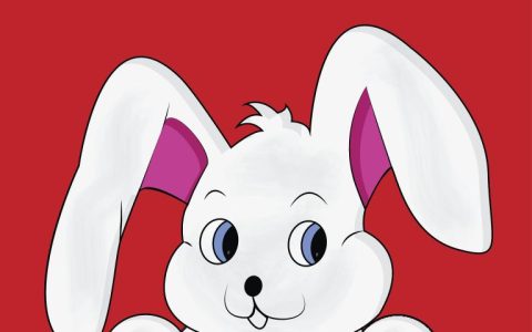 63年属兔什么颜色吉祥(幸运色彩大揭秘)