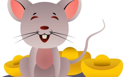 厨房挡鼠板什么材料做的(选择材料让厨房更安全)
