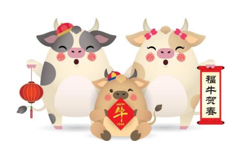 2023年大年初一属相(猪年迎来牛转乾坤)
