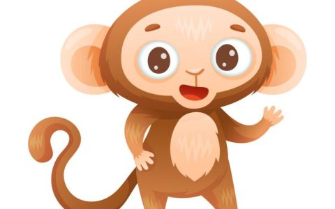2个属猴的人结合好不好(探讨同属猴的恋人是否会相互理解)