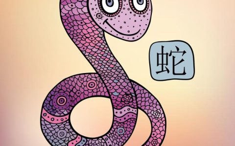 属蛇和属蛇的婚姻好不好(解析星座配对的秘密)