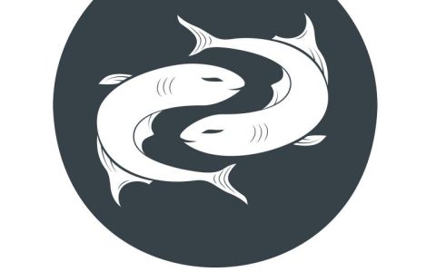 双子座与双鱼座配对指数表(星座配对大揭秘)