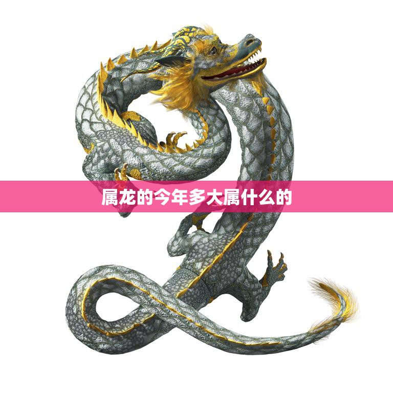 如何确定您的CDN需求