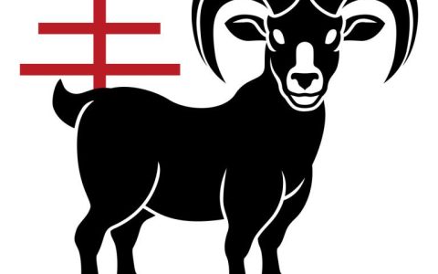 91年属羊人的财运方向(如何提升财富运势)