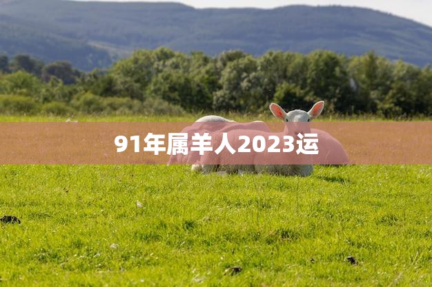 91年属羊人2023运(未来三年属羊人运势如何)