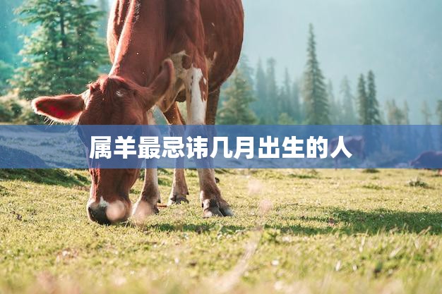 属羊最忌讳几月出生的人(你是否知道)