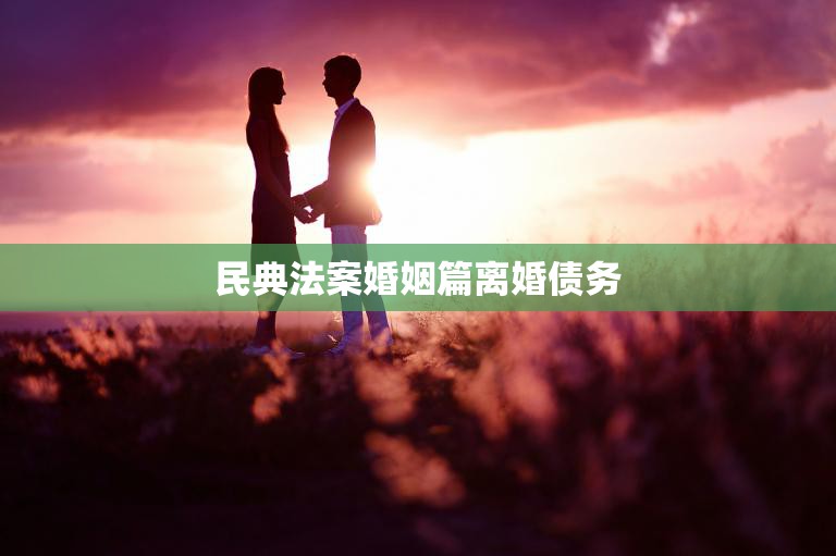 民典法案婚姻篇离婚债务(如何处理)