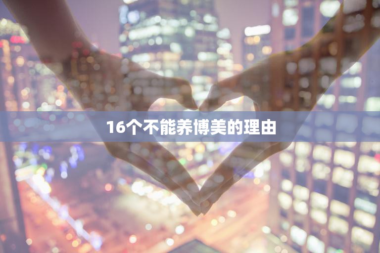 16个不能养博美的理由(小巧可爱却不适合所有人养)