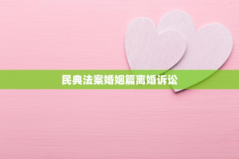 民典法案婚姻篇离婚诉讼(如何保障当事益)