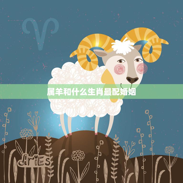 属羊和什么生肖最配婚姻(最佳组合大揭秘)