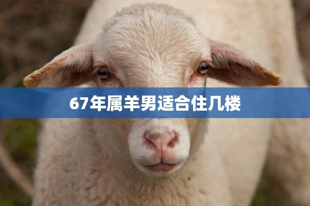67年属羊男适合住几楼(如何选择最佳居住楼层)