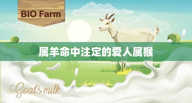 属羊命中注定的爱人属猴(缘分天定爱情长存)