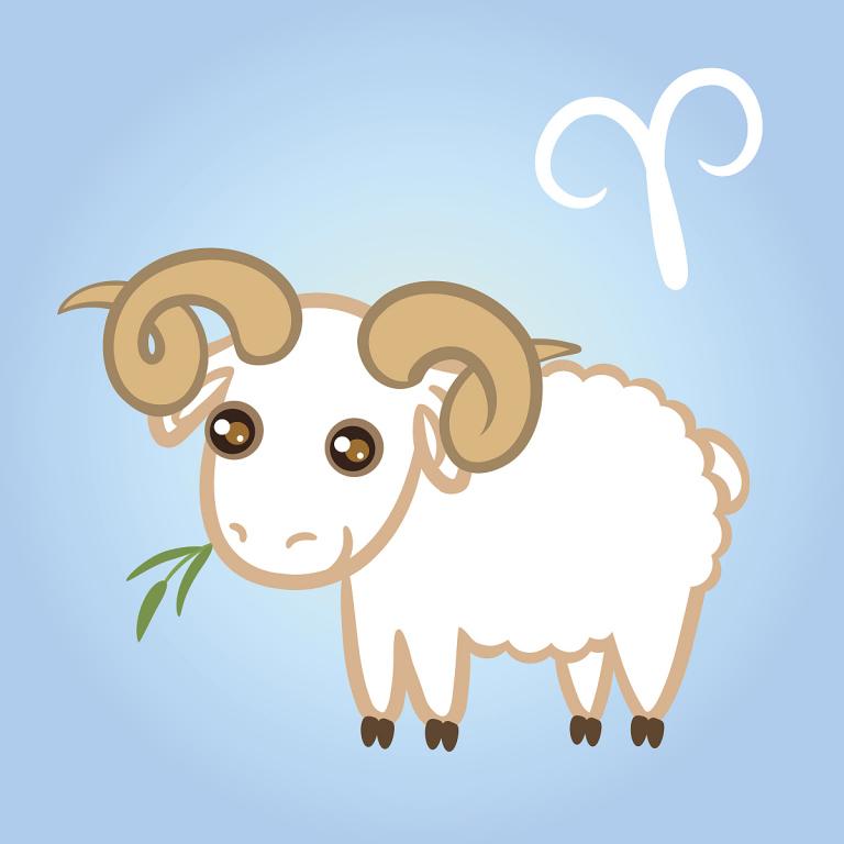 属羊的今年多少岁虚岁了(如何计算属羊人的虚岁)